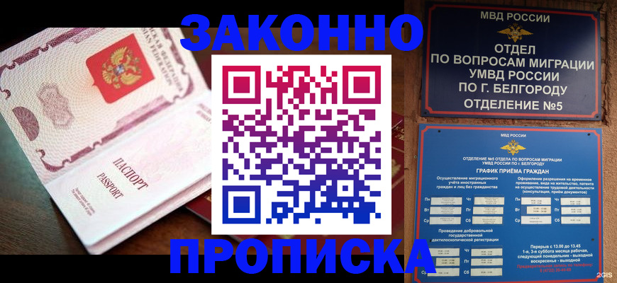 временная регистрация для школы в Новгородской области